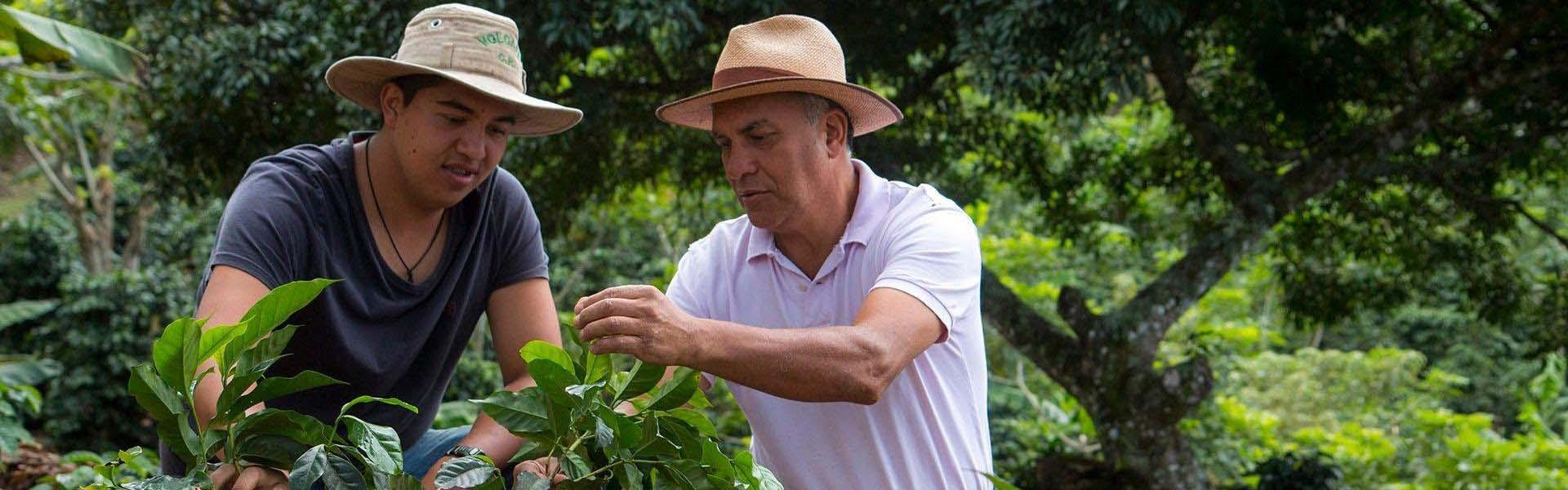 SUSTAINABILITY AAA COSTA RICA